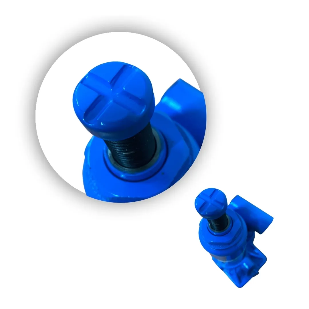 Prensa Banco 2 Col 15 Tn + Botella 2 Tn - Imagen 13